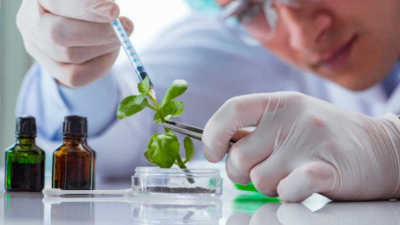 Do laboratório ao prato: Kelsem Ricardo Rios Lima mostra como a biotecnologia redefine o que comemos e como produzimos alimentos.